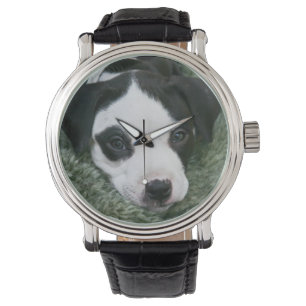 Reloj De Pulsera Pit Bull Puppy (Angie) Watch