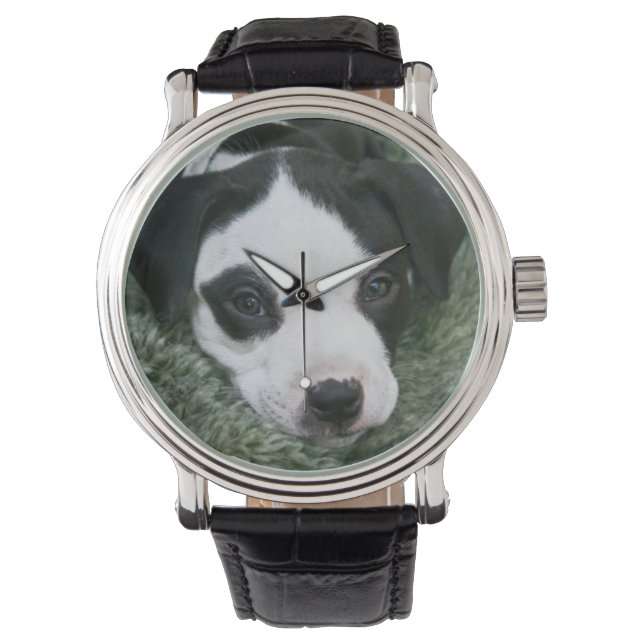 Reloj De Pulsera Pit Bull Puppy (Angie) Watch (Anverso)