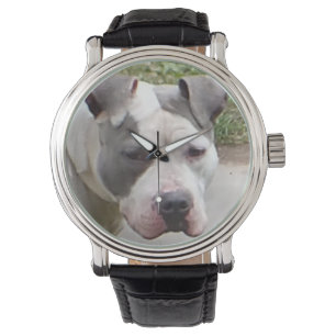 Reloj De Pulsera Pit Bull Watch