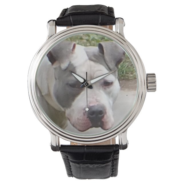 Reloj De Pulsera Pit Bull Watch (Anverso)