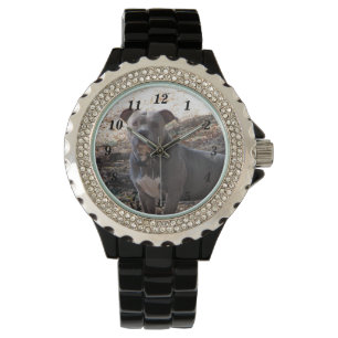 Reloj De Pulsera Pitbull con los músculos numerados