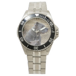 Reloj De Pulsera Pitbull Profile Men's Watch