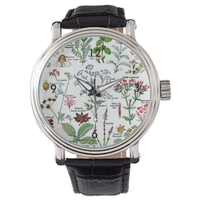 Reloj De Pulsera Plantas Digestivas Larousse Naturaleza Arte Jardín (Anverso)