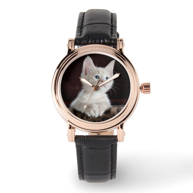 Reloj De Pulsera Plantilla fotográfica de gatitos blancos amantes d (Anverso)