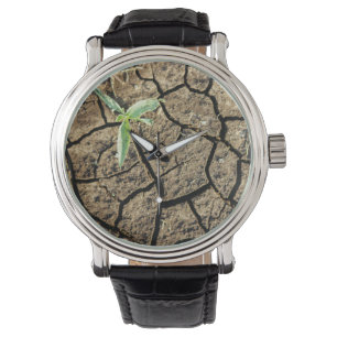 Reloj De Pulsera Plántula en tierra agrietada