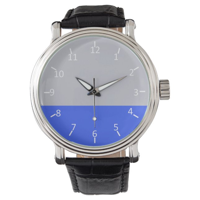 Reloj De Pulsera Plata y azul (Anverso)