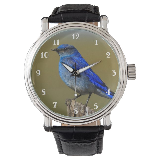 Reloj De Pulsera Pleorae (Anverso)