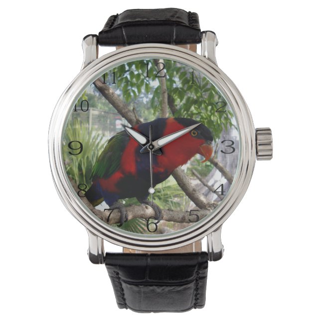 Reloj De Pulsera Plumas arcoiris: Bonito Australian Lorikeet, (Anverso)
