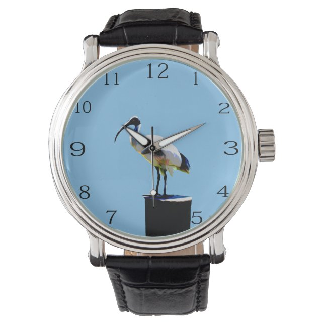 Reloj De Pulsera Pollo Bin, (Ibis) pintura al aceite, Watch (Anverso)