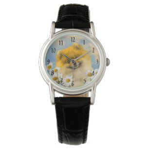 Reloj De Pulsera Pomerania en pintura de Daisies - Arte de perro or