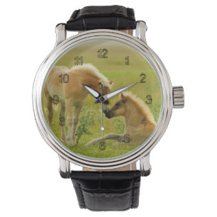Reloj De Pulsera Potros del caballo