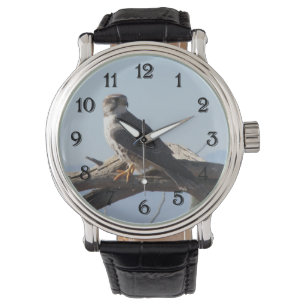 Reloj De Pulsera Prairie Falcon