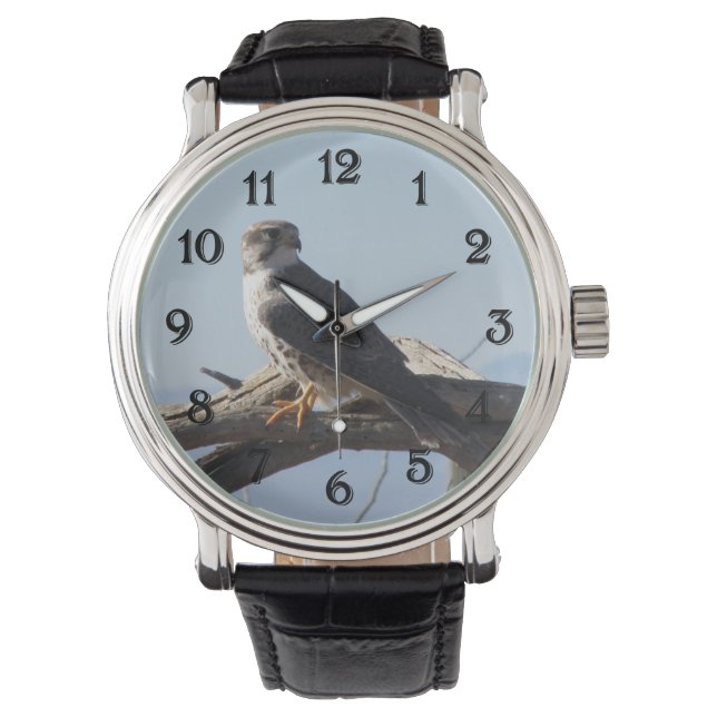 Reloj De Pulsera Prairie Falcon (Anverso)