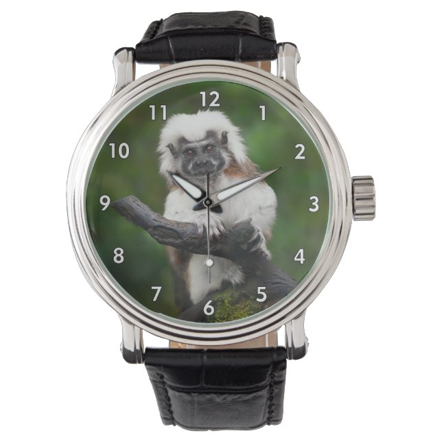 Reloj De Pulsera Prima Tamarin de Algodón Super Cuto (Anverso)