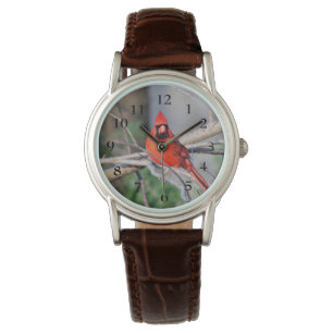 Reloj De Pulsera Primavera cardinal