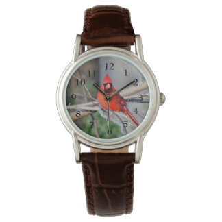Reloj De Pulsera Primavera cardinal