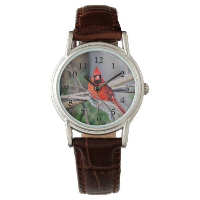 Reloj De Pulsera Primavera cardinal (Anverso)