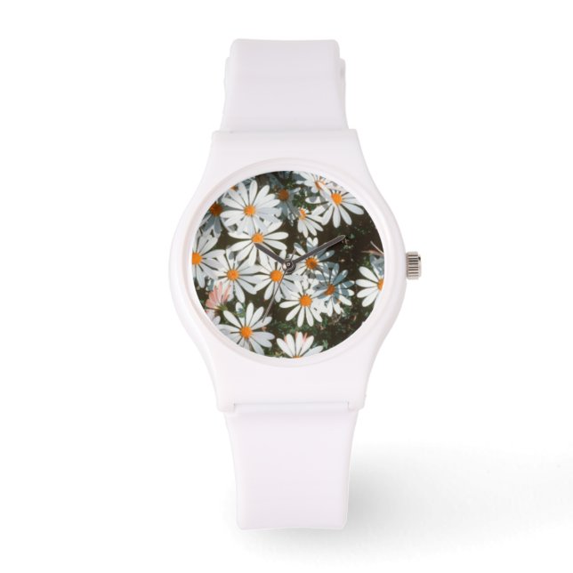 Reloj De Pulsera Profusión de margaritas blancas (Asteraceae) (Anverso)