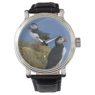Reloj De Pulsera Puffins atlánticos (Fratercula arctica) sobre el a