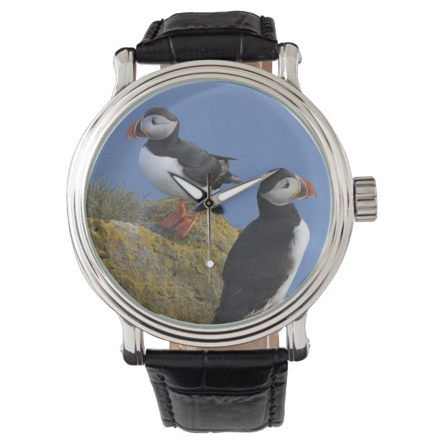 Reloj De Pulsera Puffins atlánticos (Fratercula arctica) sobre el a (Anverso)