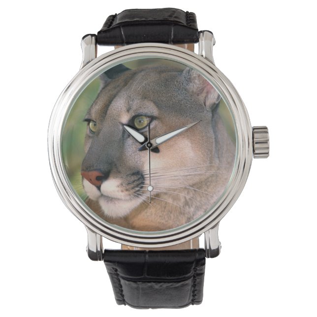 Reloj De Pulsera Puma, California (Anverso)