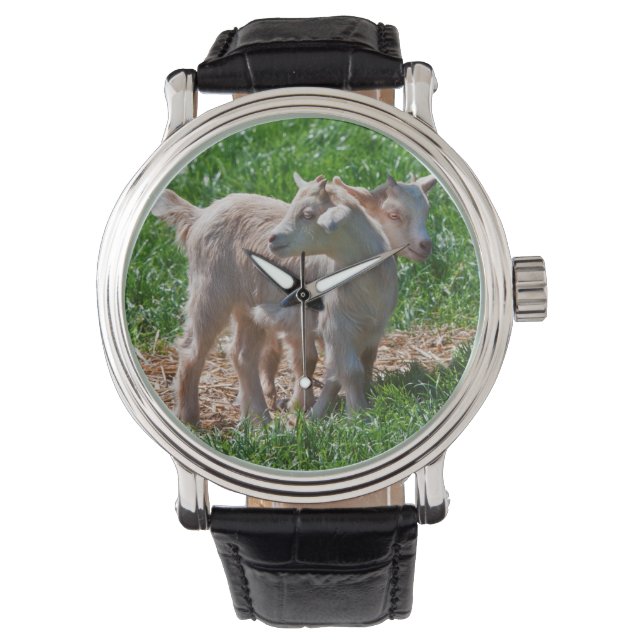 Reloj De Pulsera Pygmy Goat Kids Watch (Anverso)