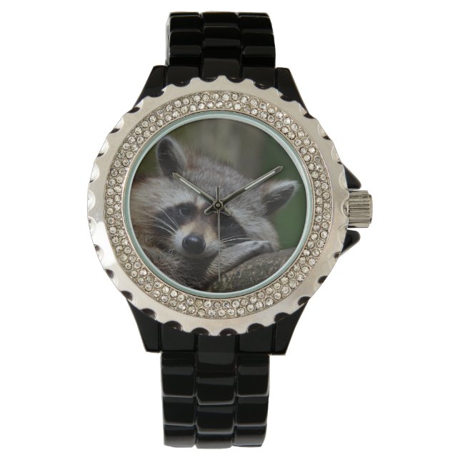 Reloj De Pulsera Raccoon de bebé escandalosamente curado (Anverso)
