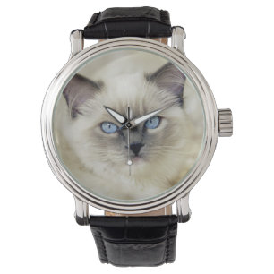 Reloj De Pulsera Ragdoll kitten
