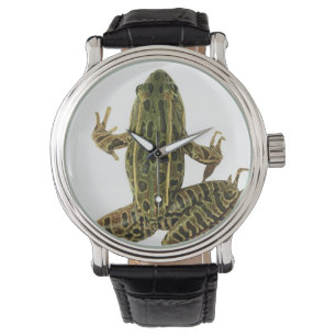 Reloj De Pulsera Rana 2