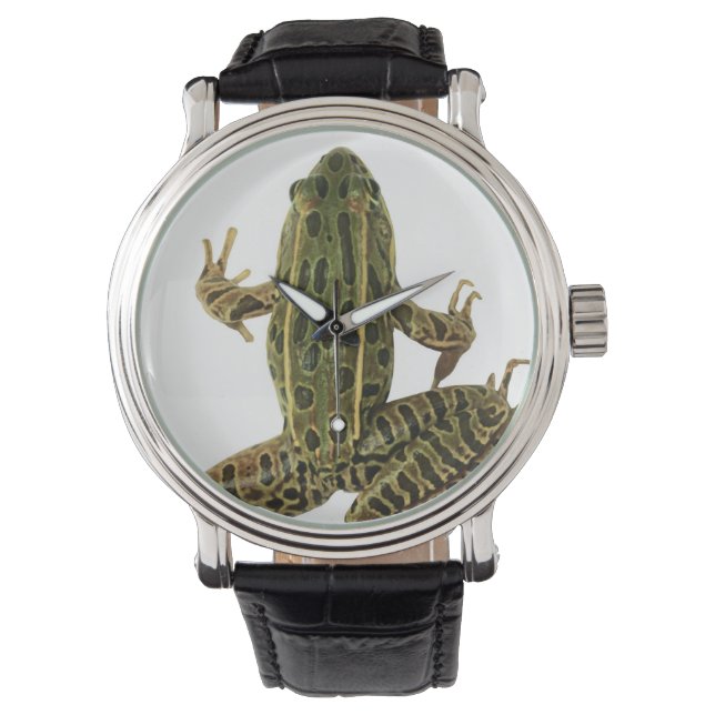 Reloj De Pulsera Rana 2 (Anverso)