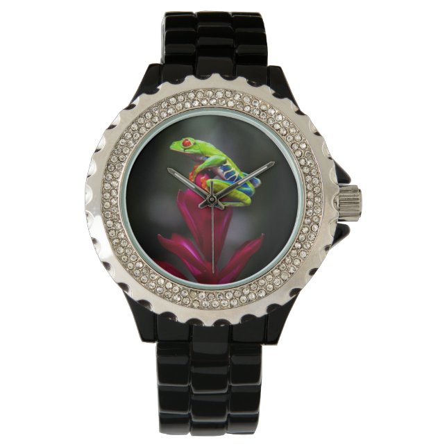 Reloj De Pulsera Rana de ojos rojos (Anverso)