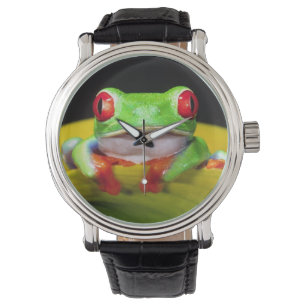 Reloj De Pulsera Rana de ojos rojos, Agalychinis callidryas, Nativa