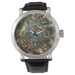 Reloj De Pulsera Ranas vintage y toads Batrachia de Ernst Haeckel