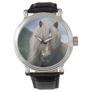 Reloj De Pulsera Reino Unido, Escocia, Islas Shetland, pony de Shet