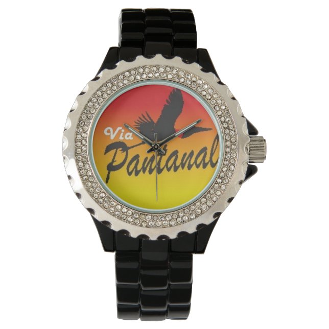 Reloj De Pulsera Relógio Feminino Preto com Strass Via Pantanal (Anverso)