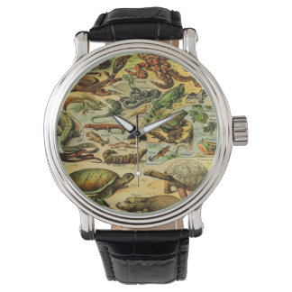 RELOJ DE PULSERA REPTILES