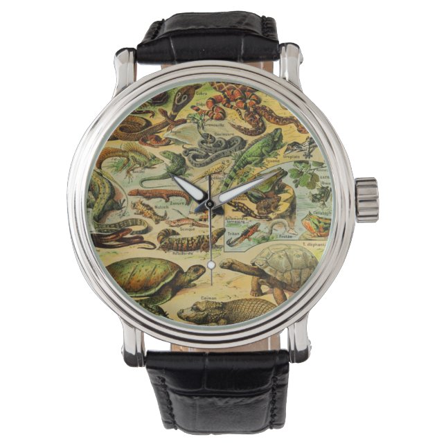 RELOJ DE PULSERA REPTILES (Anverso)