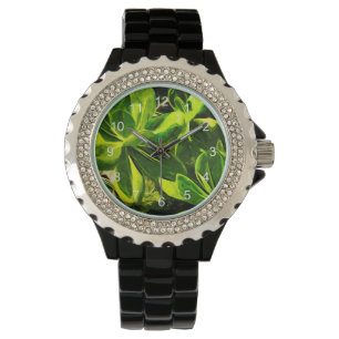 Reloj De Pulsera Resumen de la exitosa planta verde de Ocean Beach