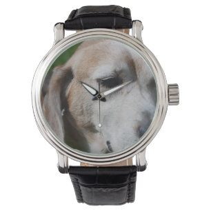 Reloj De Pulsera retrato beagle