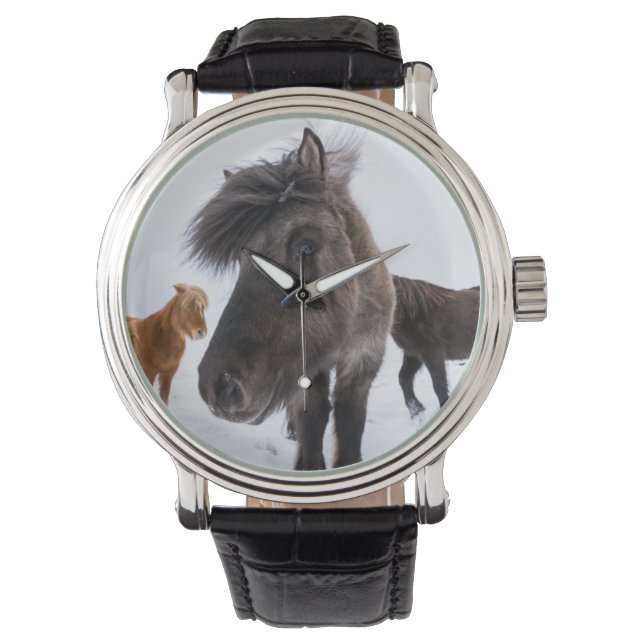 Reloj De Pulsera Retrato de caballo islandés, Islandia (Anverso)
