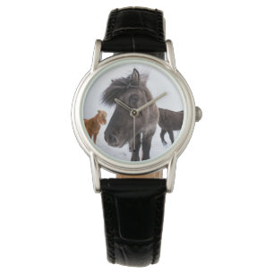 Reloj De Pulsera Retrato de caballo islandés, Islandia