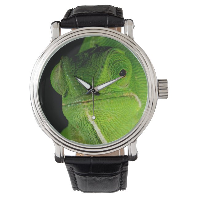 Reloj De Pulsera Retrato De Chameleon Con Cuello Flap (Anverso)