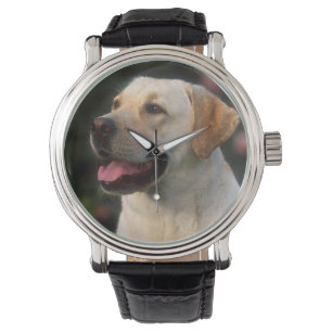 Reloj De Pulsera Retrato De Labrador Recuperador, Hilton