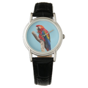 Reloj De Pulsera Retrato de loro colorido