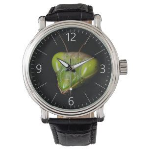 Reloj De Pulsera Retrato de mantis rezadora