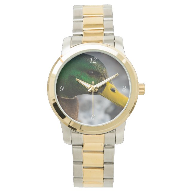 Reloj De Pulsera Retrato de Pato Real Macho (Anverso)