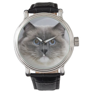 Reloj De Pulsera Retrato del gato de Ragdoll
