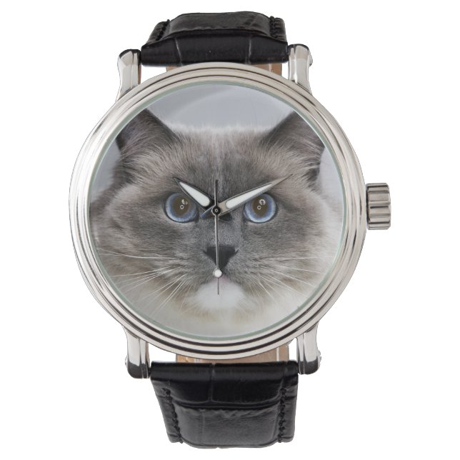 Reloj De Pulsera Retrato del gato de Ragdoll (Anverso)