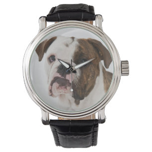 Reloj De Pulsera Retrato del perrito lindo del bulldog