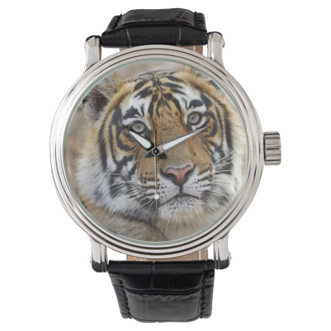 Reloj De Pulsera Retrato del Tigre Real de Bengala, Rahambhor (Anverso)